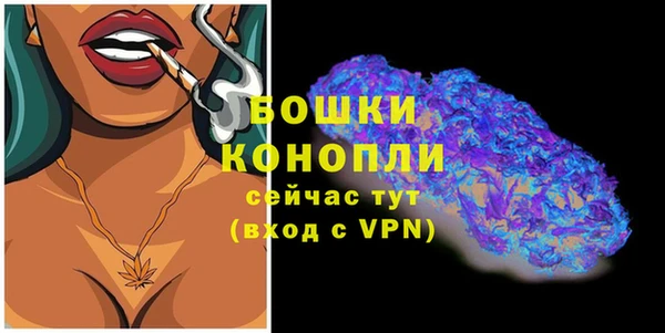 мдпв Корсаков