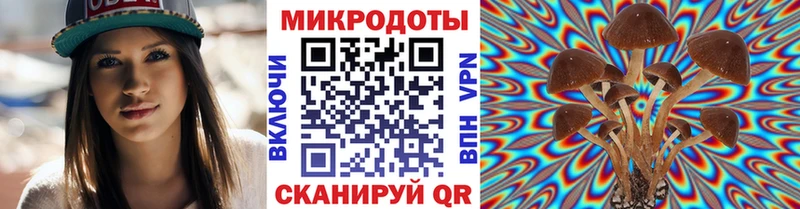 Псилоцибиновые грибы GOLDEN TEACHER  mega ССЫЛКА  Щёлкино 